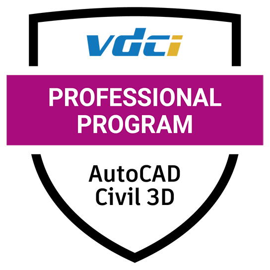 Programs Civil D Professional